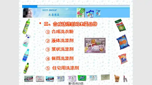 精细化工概论日用化学品——洗涤剂PPT课件
