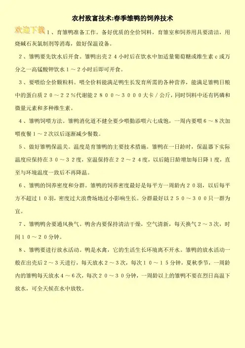农村致富技术-春季雏鸭的饲养技术