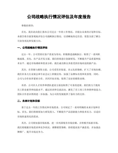 公司战略执行情况评估及年度报告