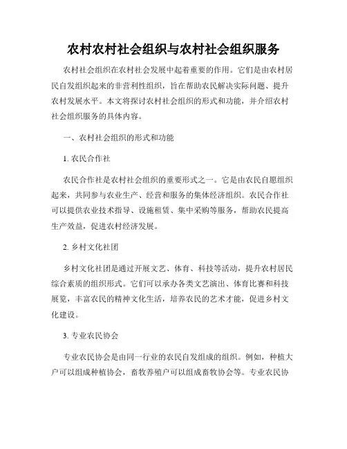 农村农村社会组织与农村社会组织服务
