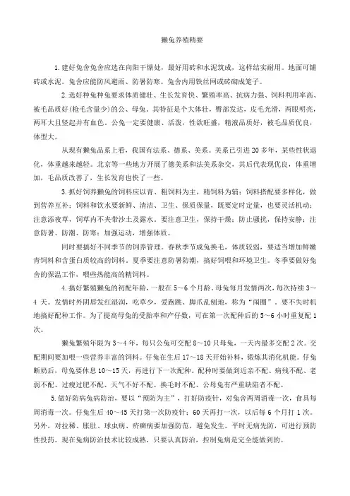 獭兔的饲养方法