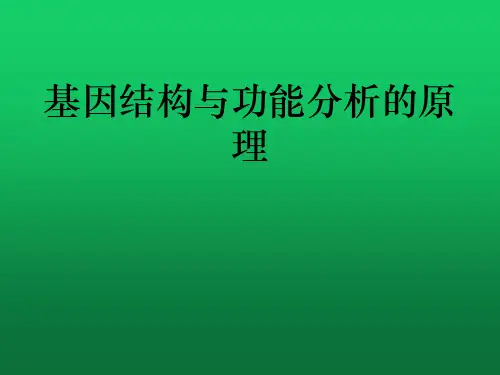 基因结构与功能分析的原理