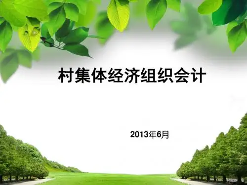 财务会计与村集体经济组织结构管理知识分析(PPT71张)