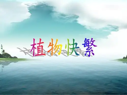 植物快繁