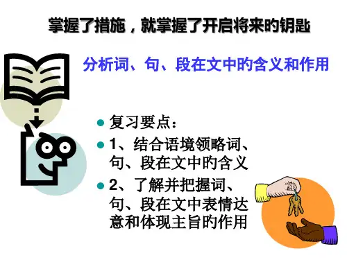 分析文中重要词句段在文中的含义和作用