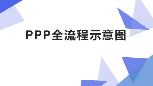 PPP全流程示意图