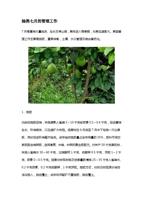 柚类七月的管理工作