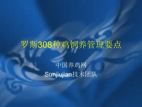 罗斯308种鸡饲养管理要点