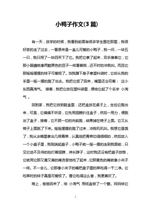 小鸭子作文(3篇)