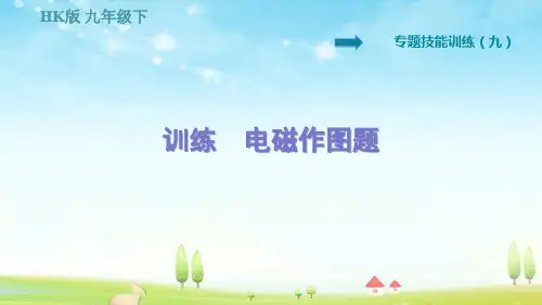 第17章 从指南针到磁浮列车专训(九) 训练  电磁作图题【习题课件】
