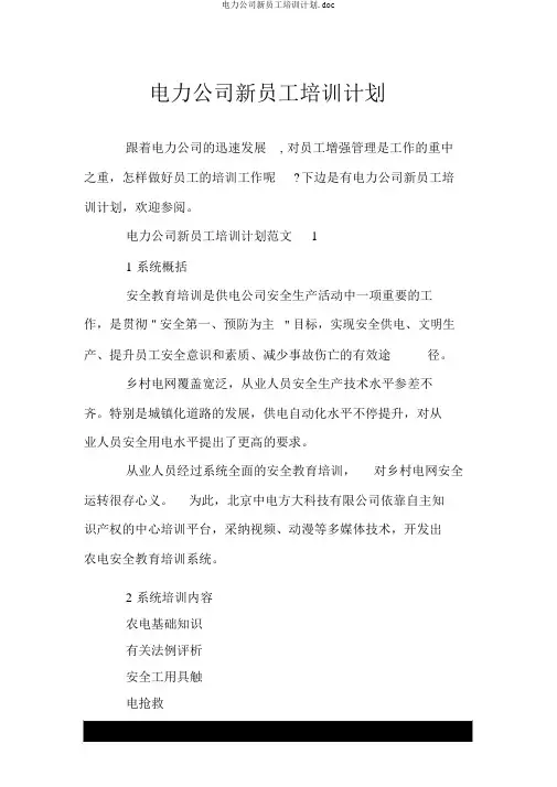 电力企业新员工培训计划.doc