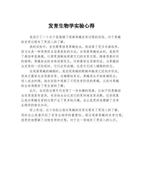 发育生物学实验心得