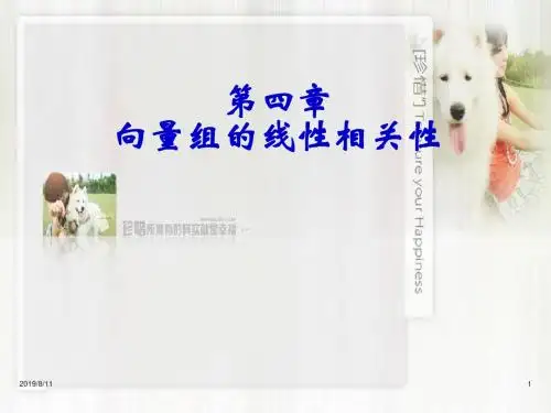同济大学线性代数课件--第四章