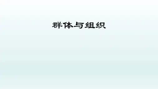 群体与组织