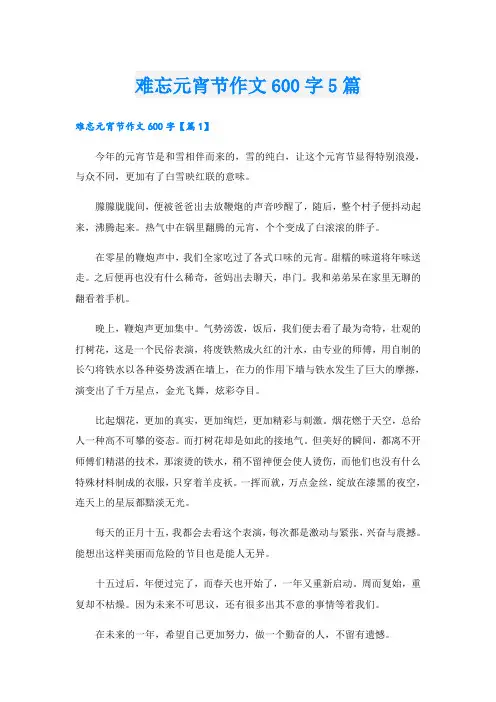 难忘元宵节作文600字5篇
