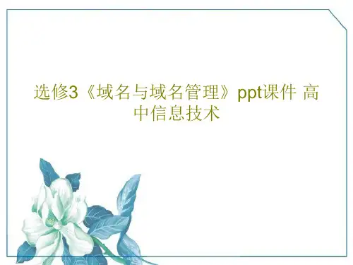 选修3《域名与域名管理》ppt课件 高中信息技术共27页