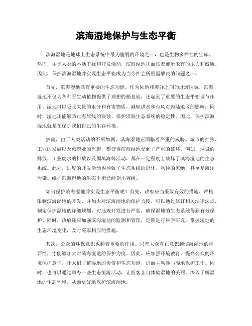 滨海湿地保护与生态平衡