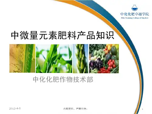 中微肥元素肥料产品知识