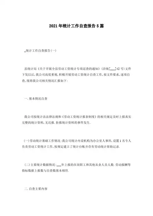 2021年统计工作自查报告5篇