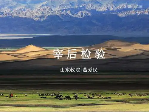 宰后检验