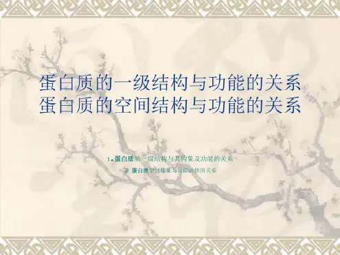 蛋白质的一级结构与功能的关系-2022年学习资料