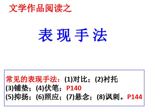 中考语文《文学作品阅读-表现手法》课件
