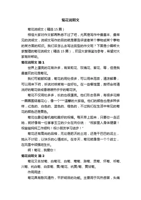 菊花说明文（精选15篇）