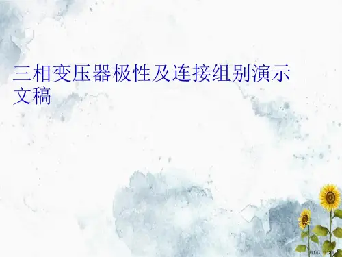 三相变压器极性及连接组别演示文稿