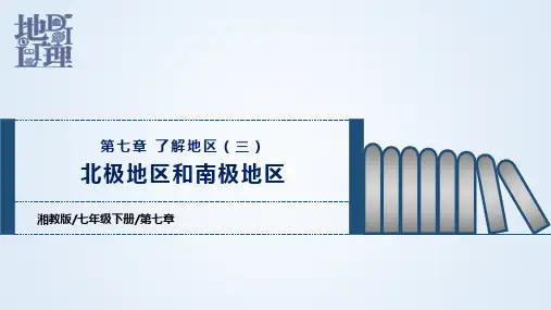 第七章了解地区(3)北极地区和南极地区(课件)-2022-2023学年七年级地理下学期期中期末