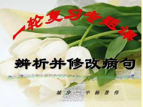 语病的修改(教学用)