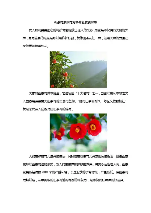 山茶花油以花为料修复皮肤屏障
