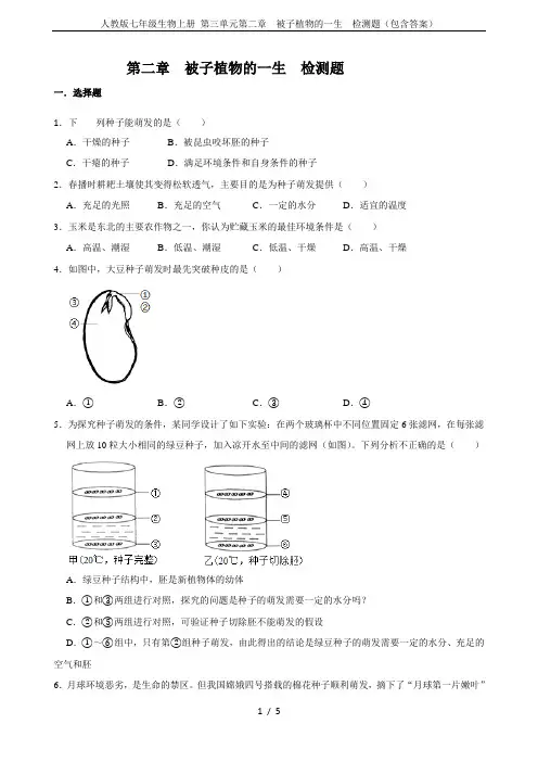 人教版七年级生物上册 第三单元第二章  被子植物的一生  检测题(包含答案)