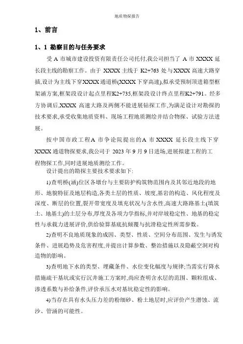 地质物探报告