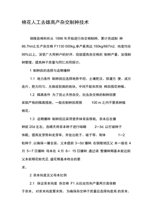棉花人工去雄高产杂交制种技术