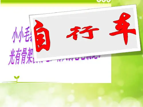 (五下)科学PPT课件5自行车 冀教版 (13张)