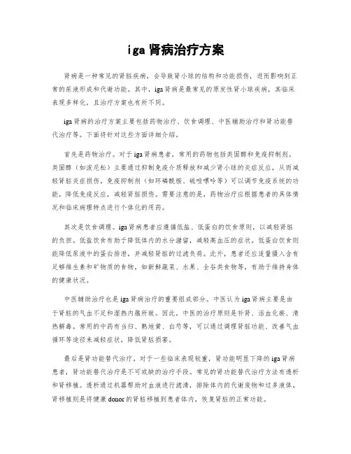 iga肾病治疗方案