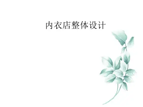 内衣店总体设计.pptx