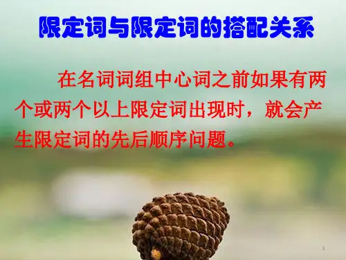 大学英语语法之限定词ppt课件