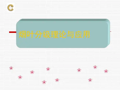 烟草现代化分级知识与技能