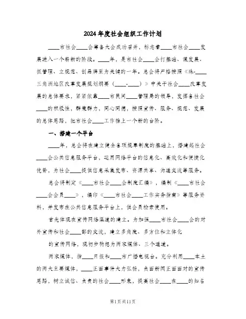 2024年度社会组织工作计划(4篇)