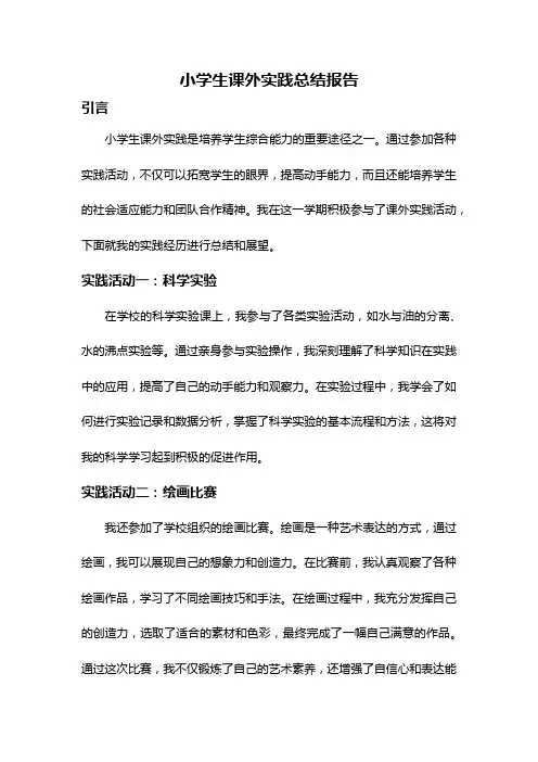 小学生课外实践总结报告