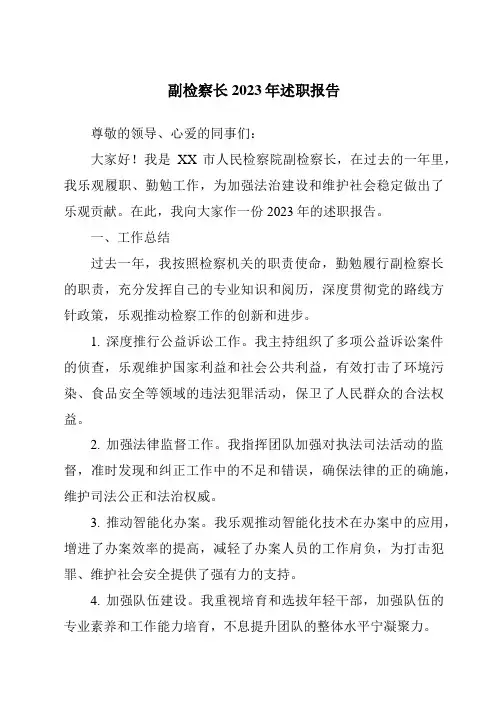 副检察长2023年述职报告