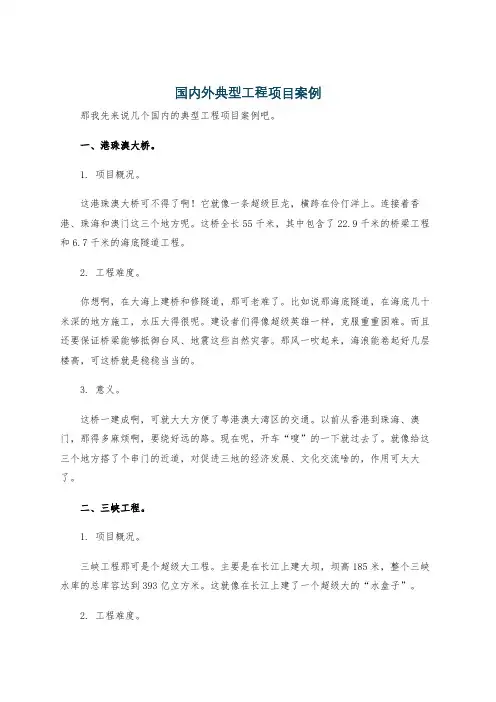 国内外典型工程项目案例