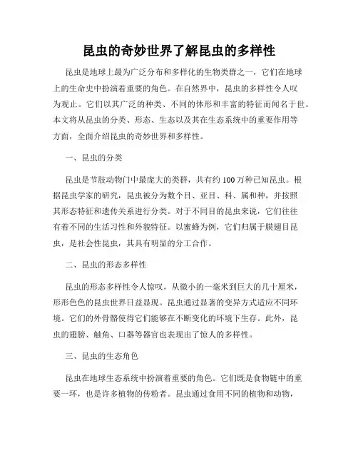昆虫的奇妙世界了解昆虫的多样性