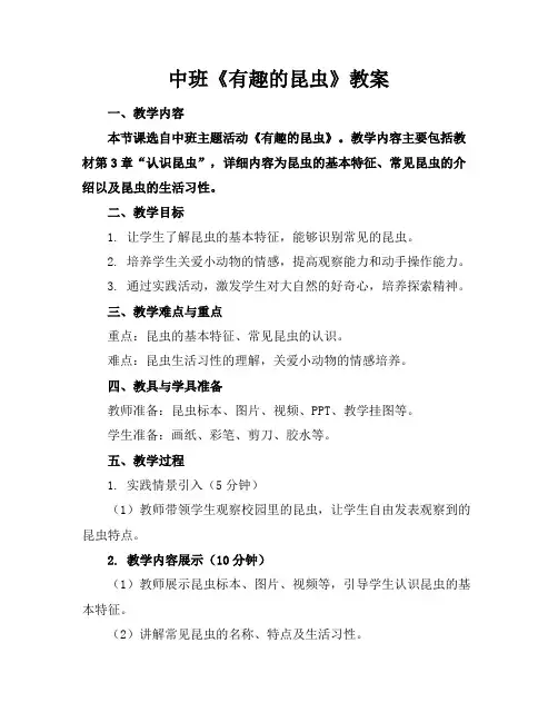 中班《有趣的昆虫》教案