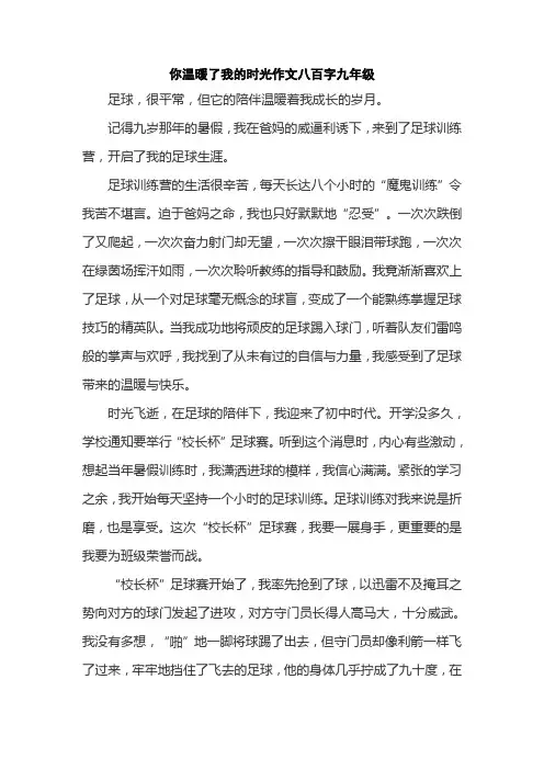 你温暖了我的时光作文八百字九年级