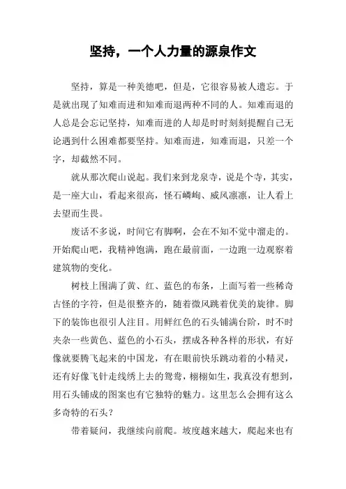 坚持,一个人力量的源泉作文