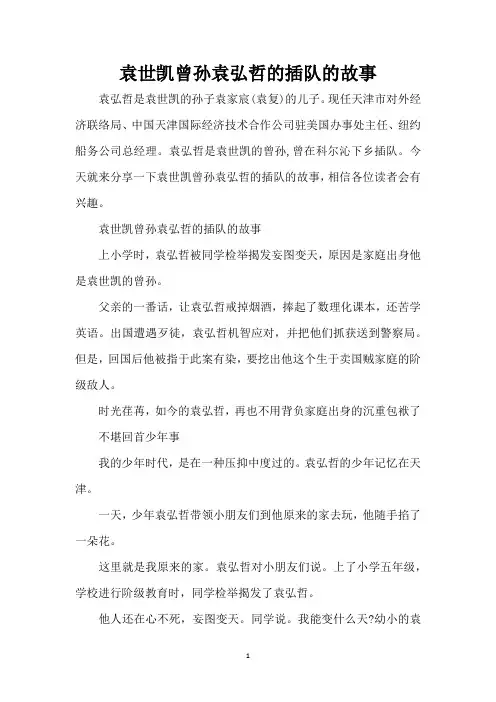 袁世凯曾孙袁弘哲的插队的故事(精编版)