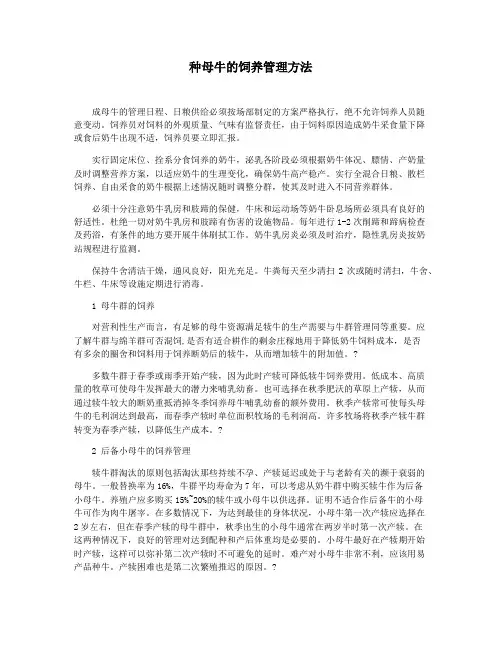 种母牛的饲养管理方法