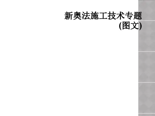 新奥法施工技术专题图文